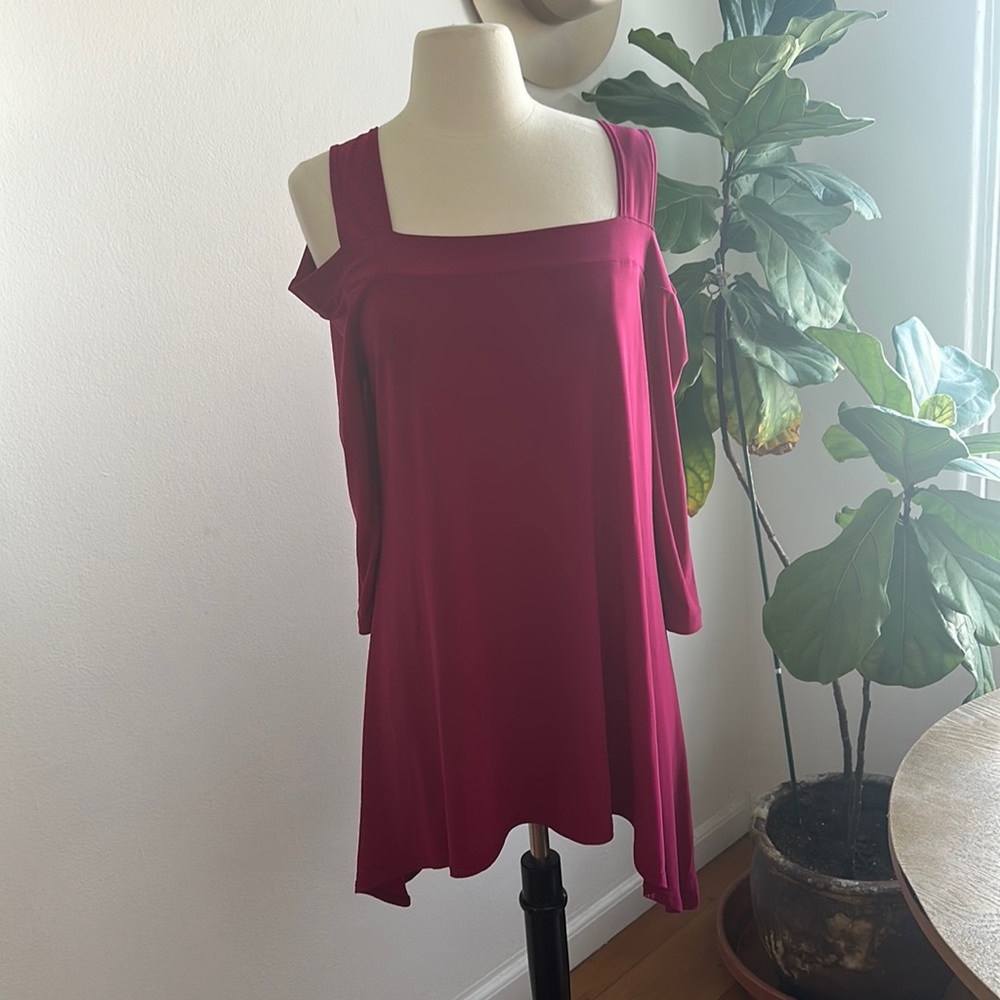 Clara Sun Woo tunic/dress